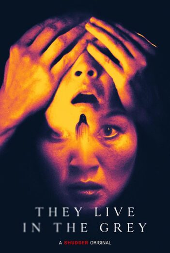 فيلم They Live in the Grey 2022 مترجم اون لاين