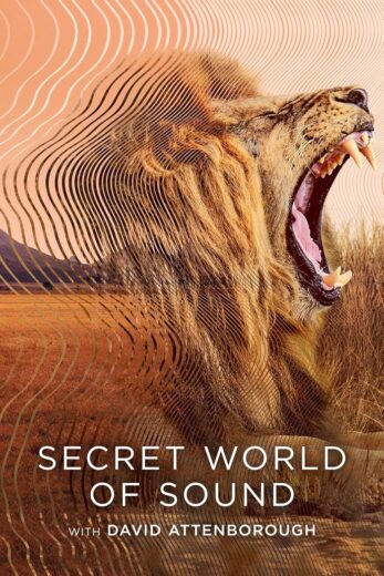 مسلسل Secret World of Sound with David Attenborough مترجم الموسم 1