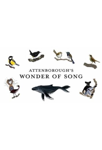 فيلم Attenborough’s Wonder of Song 2022 مترجم اون لاين